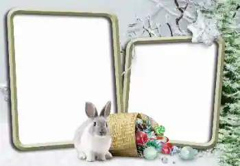 श्रेणी से फ़ोटो प्रभाव सर्दियाँ № 148975 श्रेणी से फ़ोटो प्रभाव सर्दियाँ № 148975