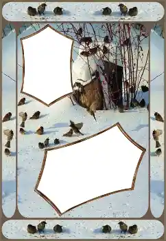 श्रेणी से फ़ोटो प्रभाव सर्दियाँ № 151645 श्रेणी से फ़ोटो प्रभाव सर्दियाँ № 151645