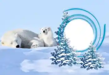 श्रेणी से फ़ोटो प्रभाव सर्दियाँ № 163218 श्रेणी से फ़ोटो प्रभाव सर्दियाँ № 163218