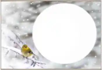 श्रेणी से फ़ोटो प्रभाव सर्दियाँ № 163334 श्रेणी से फ़ोटो प्रभाव सर्दियाँ № 163334