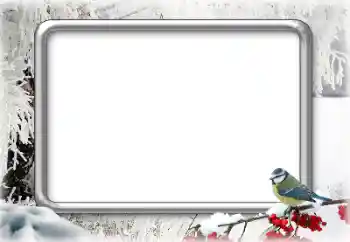 श्रेणी से फ़ोटो प्रभाव सर्दियाँ № 179644 श्रेणी से फ़ोटो प्रभाव सर्दियाँ № 179644