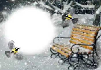 श्रेणी से फ़ोटो प्रभाव सर्दियाँ № 191760