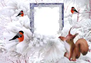 श्रेणी से फ़ोटो प्रभाव सर्दियाँ № 194148