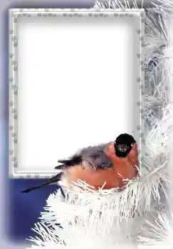 श्रेणी से फ़ोटो प्रभाव सर्दियाँ № 3339 श्रेणी से फ़ोटो प्रभाव सर्दियाँ № 3339