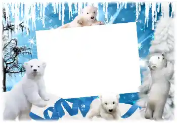 श्रेणी से फ़ोटो प्रभाव सर्दियाँ № 3366 श्रेणी से फ़ोटो प्रभाव सर्दियाँ № 3366