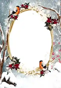 श्रेणी से फ़ोटो प्रभाव सर्दियाँ № 3374 श्रेणी से फ़ोटो प्रभाव सर्दियाँ № 3374