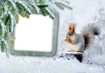 श्रेणी से फ़ोटो प्रभाव सर्दियाँ № 3375 श्रेणी से फ़ोटो प्रभाव सर्दियाँ № 3375