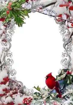 श्रेणी से फ़ोटो प्रभाव सर्दियाँ № 3380 श्रेणी से फ़ोटो प्रभाव सर्दियाँ № 3380