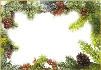 श्रेणी से फ़ोटो प्रभाव सर्दियाँ № 3395 श्रेणी से फ़ोटो प्रभाव सर्दियाँ № 3395