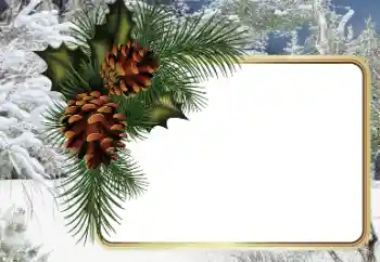 श्रेणी से फ़ोटो प्रभाव सर्दियाँ № 34794