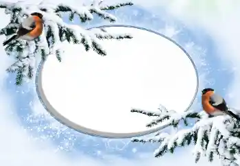 श्रेणी से फ़ोटो प्रभाव सर्दियाँ № 42676 श्रेणी से फ़ोटो प्रभाव सर्दियाँ № 42676