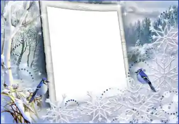 श्रेणी से फ़ोटो प्रभाव सर्दियाँ № 60441 श्रेणी से फ़ोटो प्रभाव सर्दियाँ № 60441