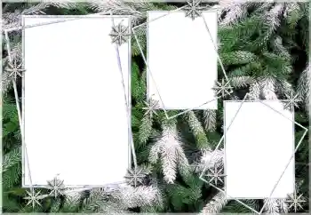 श्रेणी से फ़ोटो प्रभाव सर्दियाँ № 64393 श्रेणी से फ़ोटो प्रभाव सर्दियाँ № 64393