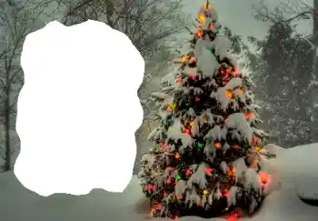 श्रेणी से फ़ोटो प्रभाव सर्दियाँ № 65514 श्रेणी से फ़ोटो प्रभाव सर्दियाँ № 65514