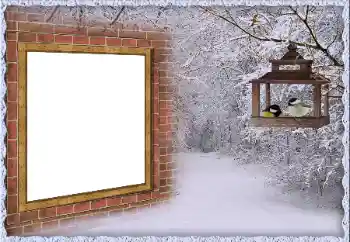 श्रेणी से फ़ोटो प्रभाव सर्दियाँ № 65557 श्रेणी से फ़ोटो प्रभाव सर्दियाँ № 65557