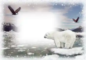 श्रेणी से फ़ोटो प्रभाव सर्दियाँ № 67044 श्रेणी से फ़ोटो प्रभाव सर्दियाँ № 67044