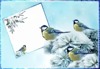 श्रेणी से फ़ोटो प्रभाव सर्दियाँ № 87962