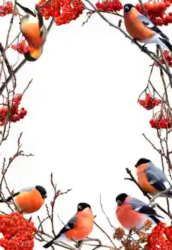 श्रेणी से फ़ोटो प्रभाव सर्दियाँ № 90578 श्रेणी से फ़ोटो प्रभाव सर्दियाँ № 90578