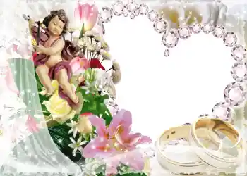 श्रेणी से फ़ोटो प्रभाव शादी के फोटो फ्रेम № 1044