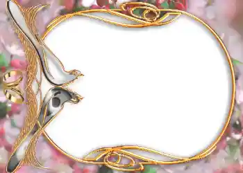 श्रेणी से फ़ोटो प्रभाव शादी के फोटो फ्रेम № 105 श्रेणी से फ़ोटो प्रभाव शादी के फोटो फ्रेम № 105