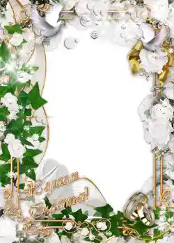 श्रेणी से फ़ोटो प्रभाव शादी के फोटो फ्रेम № 1064