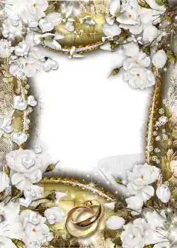 श्रेणी से फ़ोटो प्रभाव शादी के फोटो फ्रेम № 1066