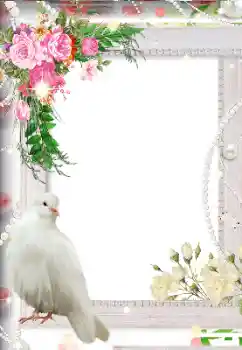 श्रेणी से फ़ोटो प्रभाव शादी के फोटो फ्रेम № 113119 श्रेणी से फ़ोटो प्रभाव शादी के फोटो फ्रेम № 113119