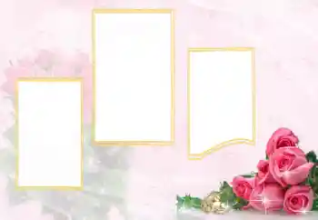 श्रेणी से फ़ोटो प्रभाव शादी के फोटो फ्रेम № 114398 श्रेणी से फ़ोटो प्रभाव शादी के फोटो फ्रेम № 114398