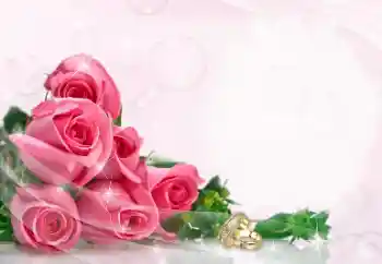 श्रेणी से फ़ोटो प्रभाव शादी के फोटो फ्रेम № 114402 श्रेणी से फ़ोटो प्रभाव शादी के फोटो फ्रेम № 114402