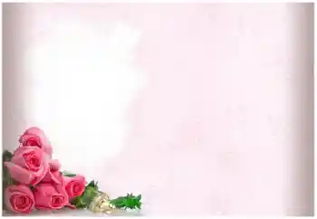 श्रेणी से फ़ोटो प्रभाव शादी के फोटो फ्रेम № 114403 श्रेणी से फ़ोटो प्रभाव शादी के फोटो फ्रेम № 114403