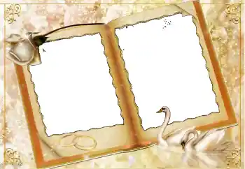 श्रेणी से फ़ोटो प्रभाव शादी के फोटो फ्रेम № 114451 श्रेणी से फ़ोटो प्रभाव शादी के फोटो फ्रेम № 114451