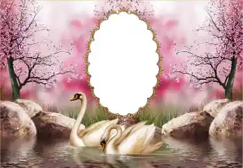 श्रेणी से फ़ोटो प्रभाव शादी के फोटो फ्रेम № 121126