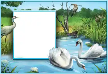 श्रेणी से फ़ोटो प्रभाव शादी के फोटो फ्रेम № 124253