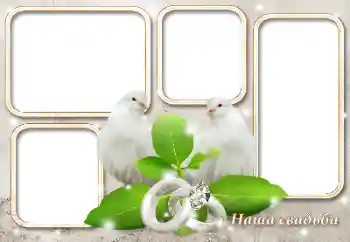 फ़ोटो फ़्रेम पर लेख: हमारी शादी