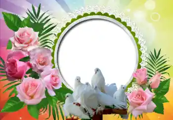 श्रेणी से फ़ोटो प्रभाव शादी के फोटो फ्रेम № 130157