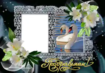 फ़ोटो फ़्रेम पर लेख: बधाई हो!