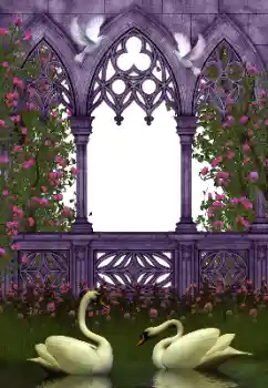 श्रेणी से फ़ोटो प्रभाव शादी के फोटो फ्रेम № 130281