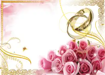 श्रेणी से फ़ोटो प्रभाव शादी के फोटो फ्रेम № 137