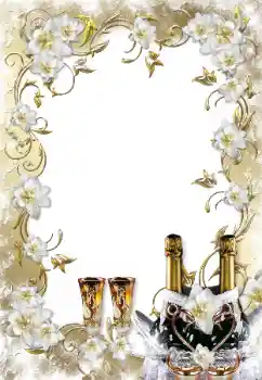 श्रेणी से फ़ोटो प्रभाव शादी के फोटो फ्रेम № 138566