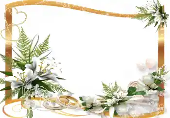 श्रेणी से फ़ोटो प्रभाव शादी के फोटो फ्रेम № 139865