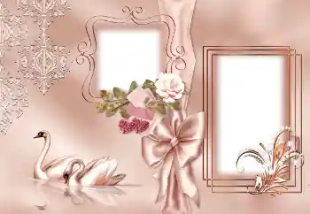 श्रेणी से फ़ोटो प्रभाव शादी के फोटो फ्रेम № 143501