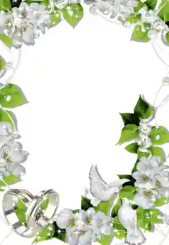 श्रेणी से फ़ोटो प्रभाव शादी के फोटो फ्रेम № 145090