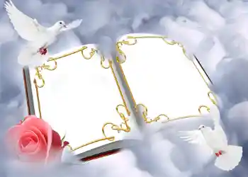 श्रेणी से फ़ोटो प्रभाव शादी के फोटो फ्रेम № 146