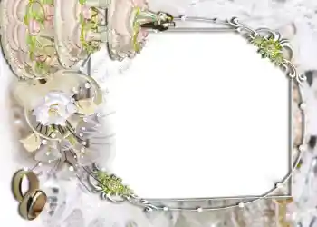 श्रेणी से फ़ोटो प्रभाव शादी के फोटो फ्रेम № 148