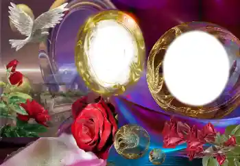 श्रेणी से फ़ोटो प्रभाव शादी के फोटो फ्रेम № 149311