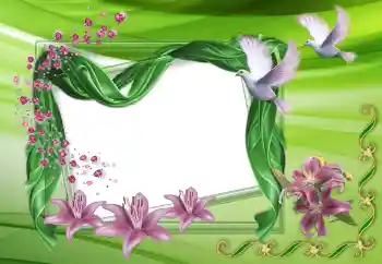 श्रेणी से फ़ोटो प्रभाव शादी के फोटो फ्रेम № 150515