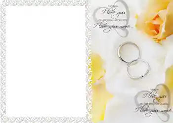 श्रेणी से फ़ोटो प्रभाव शादी के फोटो फ्रेम № 152