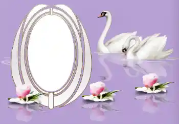 श्रेणी से फ़ोटो प्रभाव शादी के फोटो फ्रेम № 153161