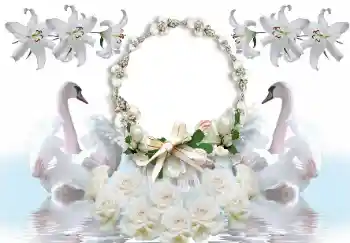 श्रेणी से फ़ोटो प्रभाव शादी के फोटो फ्रेम № 154586