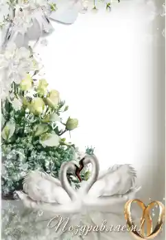 फ़ोटो फ़्रेम पर लेख: बधाई हो!